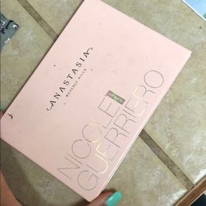 Anastasia Nicole Guerriero Highlight palette